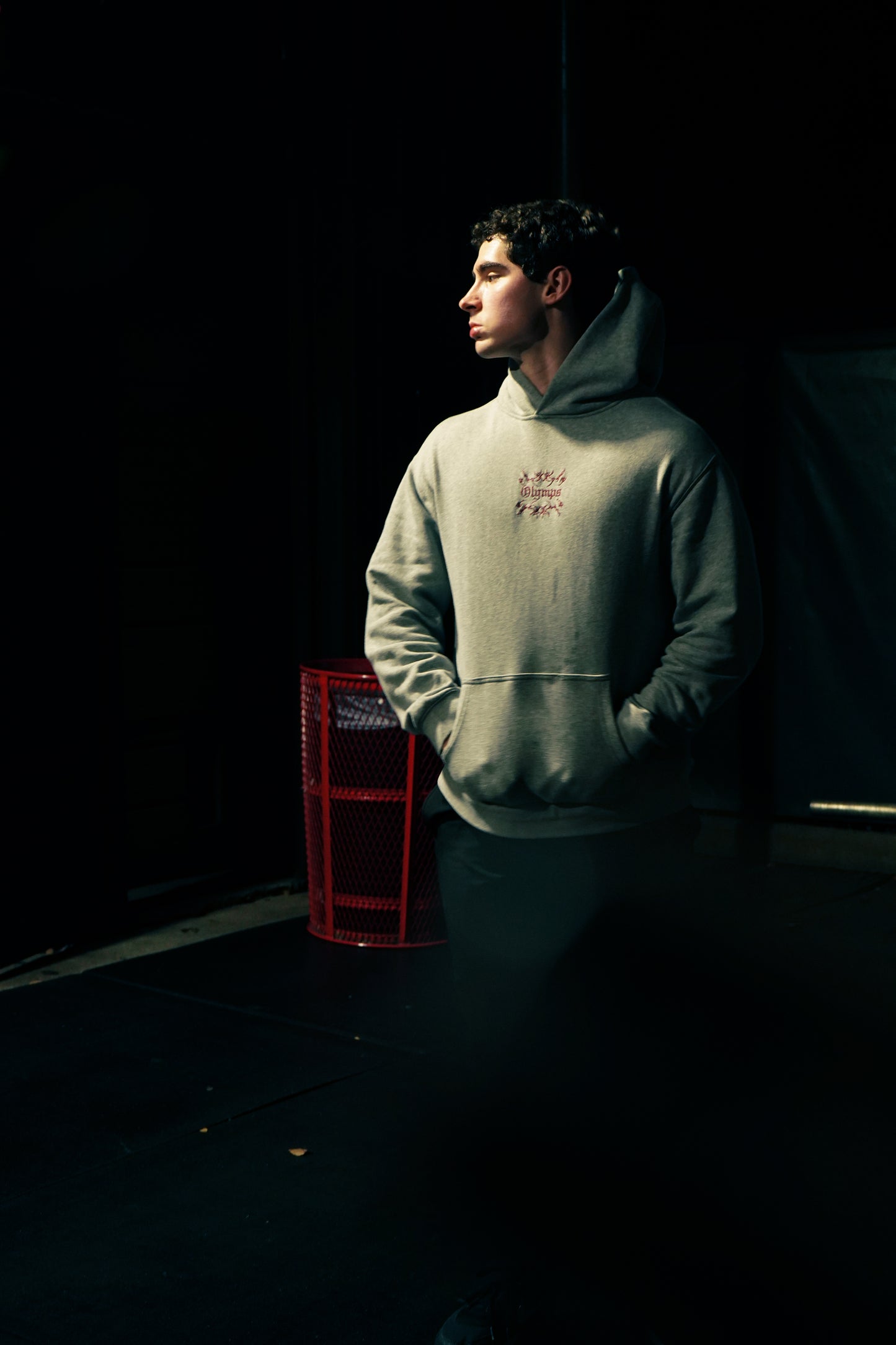 The Inferno Hoodie (Grey)